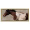 Stupell Industries Dashing Brown Horse Floater Framed Canvas Wall Art Design by Nina Blue